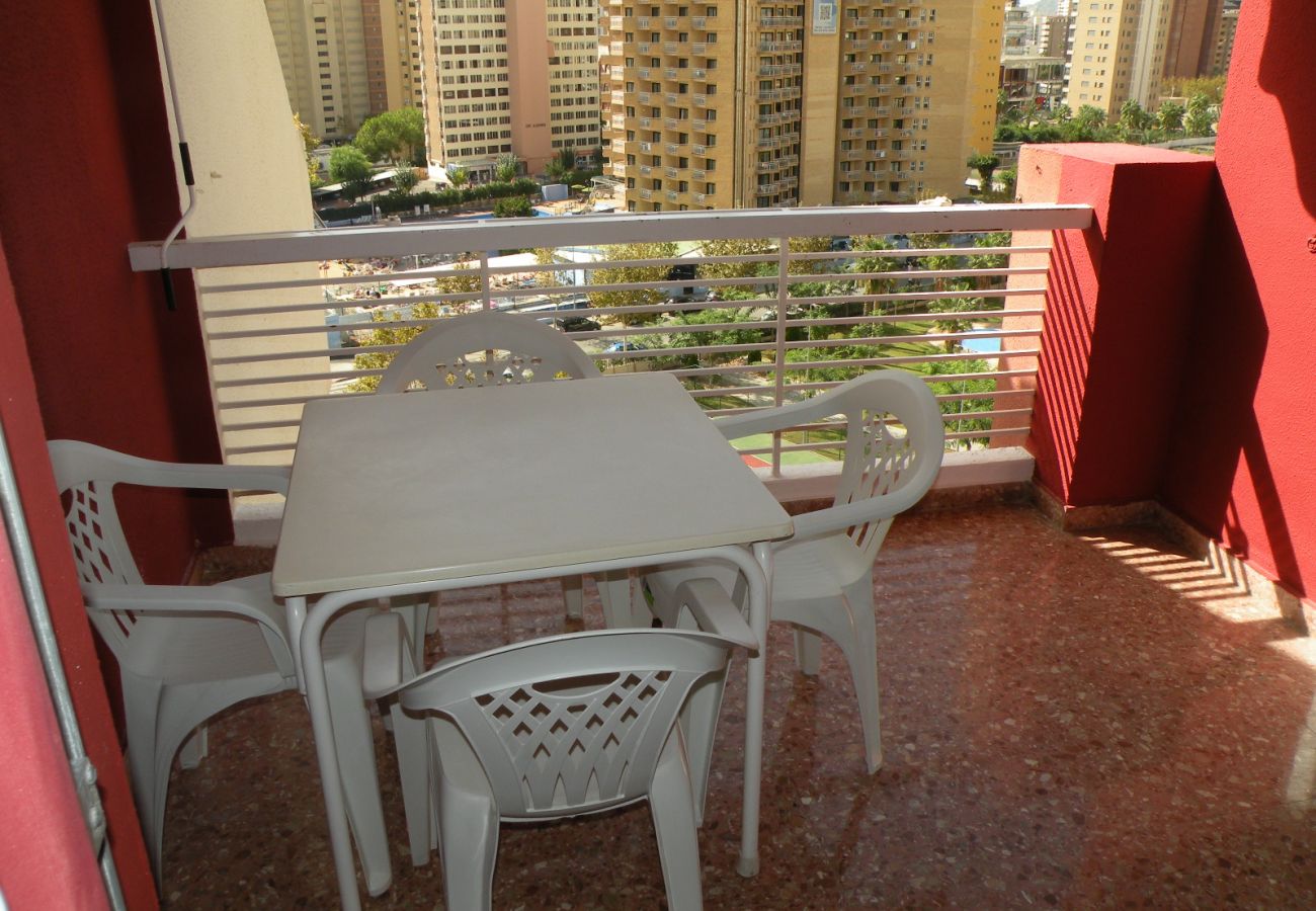 Appartement in Benidorm - GIJON (1 SLAAPKAMER) BENIDORM