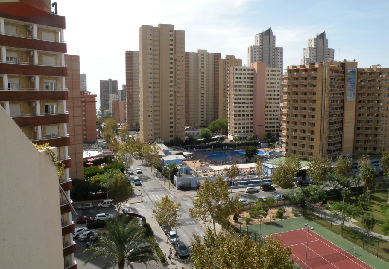 Appartement in Benidorm - GIJON (1 SLAAPKAMER) BENIDORM