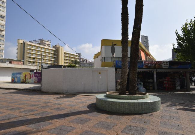 Appartement in Benidorm - COMERCIAL LEPANTO (1 SLAAPKAMER)