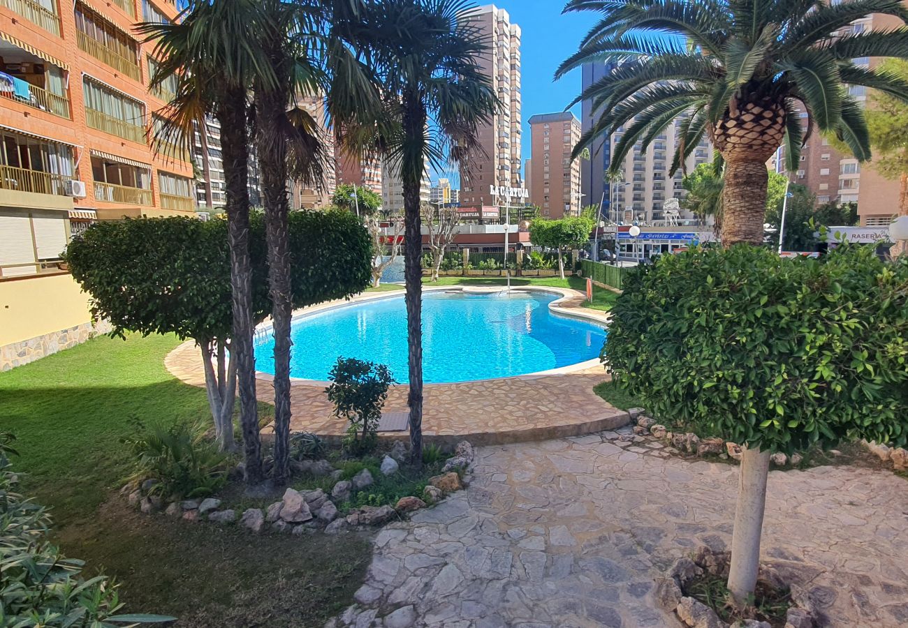 Appartement in Benidorm - LAS ADELFAS (2 SLAAPKAMER)