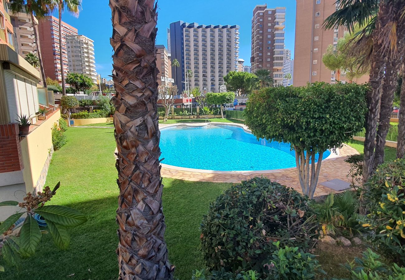 Appartement in Benidorm - LAS ADELFAS (2 SLAAPKAMER)