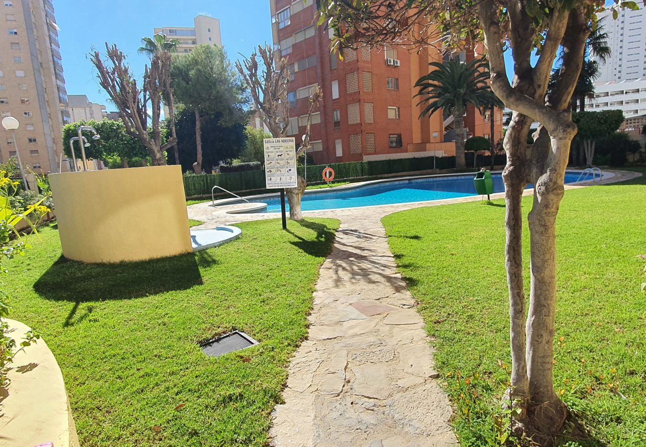 Appartement in Benidorm - LAS ADELFAS (2 SLAAPKAMER)