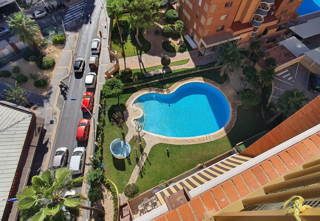 Appartement in Benidorm - LAS ADELFAS (2 SLAAPKAMER)