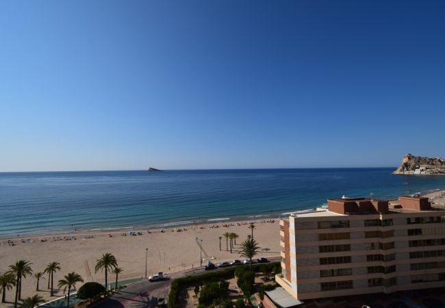 Appartement in Benidorm - PRINCIPADO MARINA (3 SLAAPKAMERS)