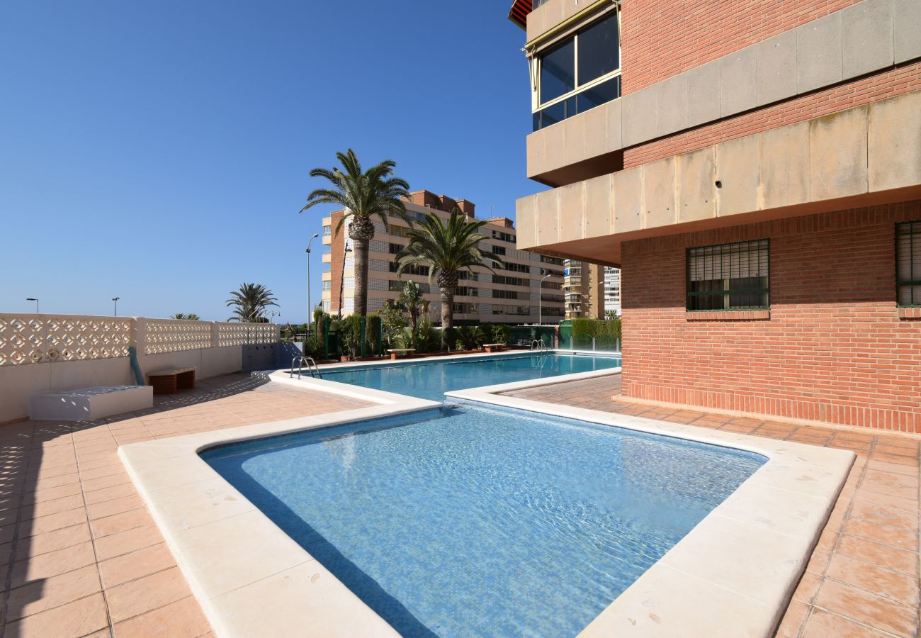 Appartement in Benidorm - PRINCIPADO MARINA (3 SLAAPKAMERS)