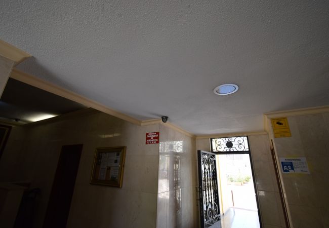 Studio in Benidorm - ACUARIUM 3 (STUDIO) Studio in Benidorm - ACUARIUM 3 (STUDIO)