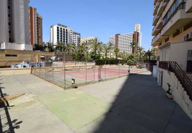 Studio in Benidorm - ACUARIUM 3 (STUDIO) Studio in Benidorm - ACUARIUM 3 (STUDIO)