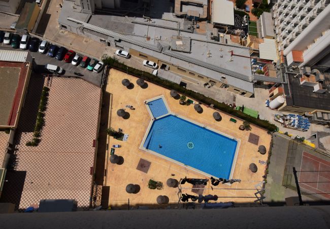 Studio in Benidorm - ACUARIUM 3 (STUDIO) Studio in Benidorm - ACUARIUM 3 (STUDIO)