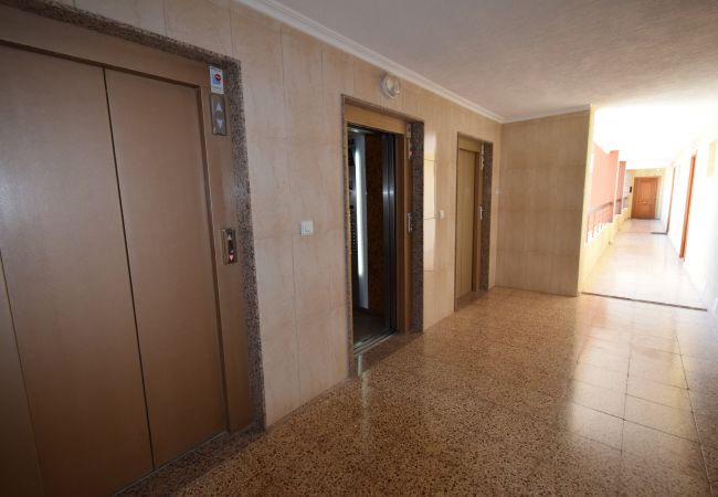 Studio in Benidorm - ACUARIUM 3 (STUDIO) Studio in Benidorm - ACUARIUM 3 (STUDIO)