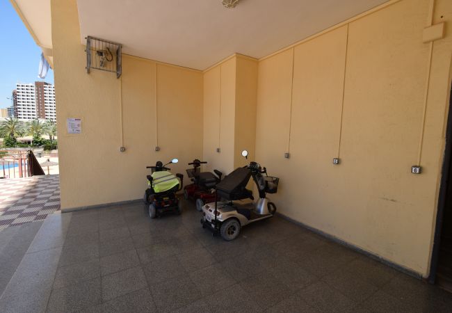 Studio in Benidorm - ACUARIUM 3 (STUDIO) Studio in Benidorm - ACUARIUM 3 (STUDIO)