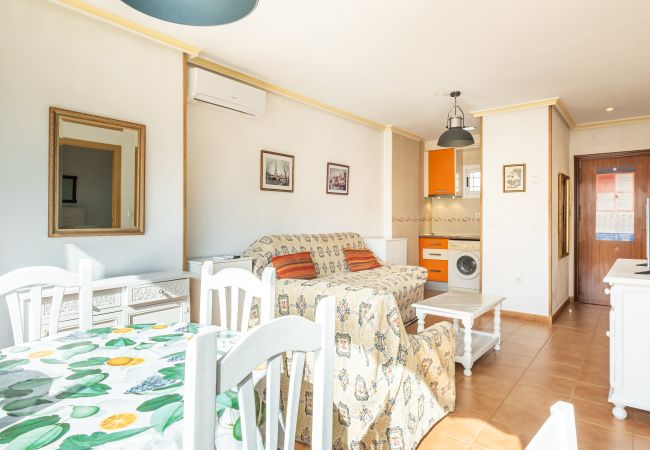 Studio in Benidorm - ACUARIUM 3 (STUDIO) Studio in Benidorm - ACUARIUM 3 (STUDIO)