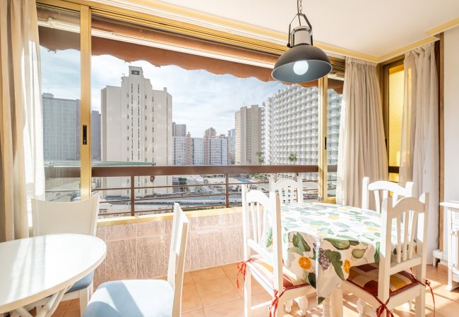 Studio in Benidorm - ACUARIUM 3 (STUDIO) Studio in Benidorm - ACUARIUM 3 (STUDIO)