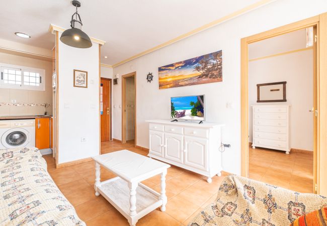 Studio in Benidorm - ACUARIUM 3 (STUDIO) Studio in Benidorm - ACUARIUM 3 (STUDIO)