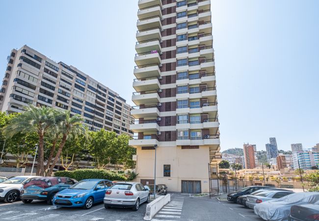 Studio in Benidorm - ACUARIUM 3 (STUDIO) Studio in Benidorm - ACUARIUM 3 (STUDIO)