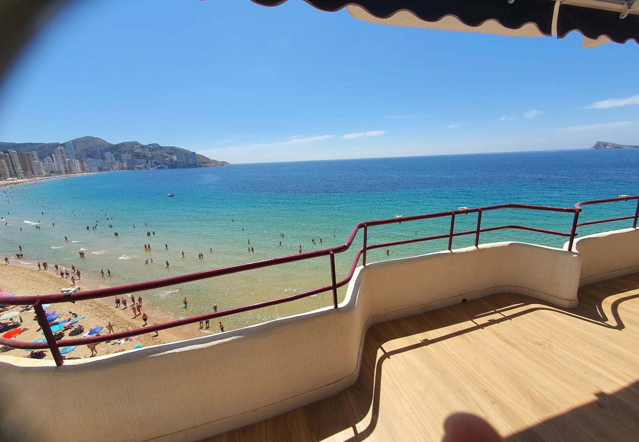 Appartement in Benidorm - LUX CENTER (3 SLAAPKAMER)