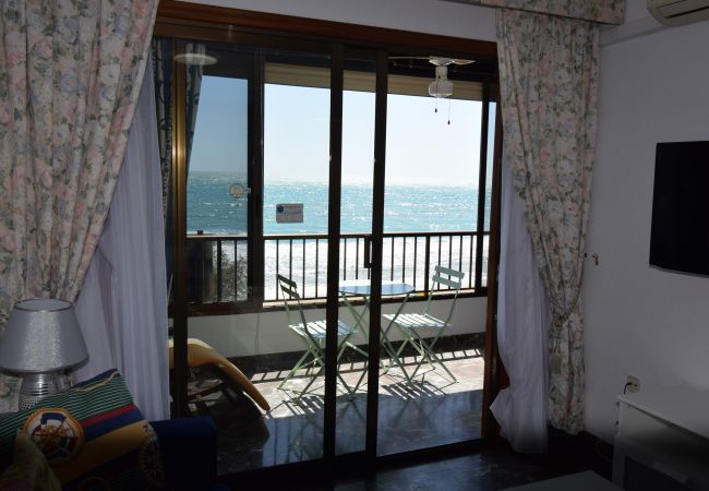 Appartement in Benidorm - BENIBEACH (1  SLAAPKAMER)