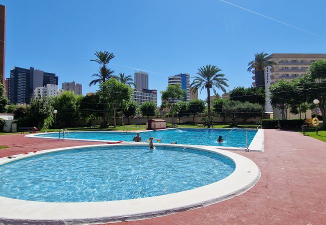 Appartement in Benidorm - LIDERSOL (2 SLAAPKAMER)