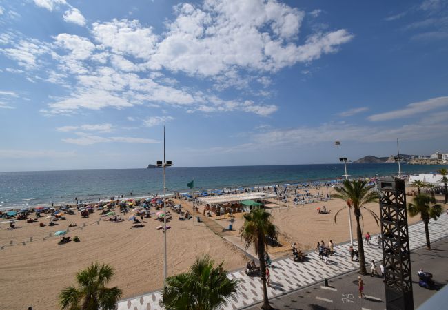  in Benidorm - TOR MARAYA (1 SLAAPKAMER)