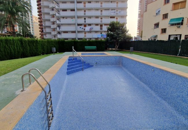 Appartement in Benidorm - DON PACO  (2 SLAAPKAMER)