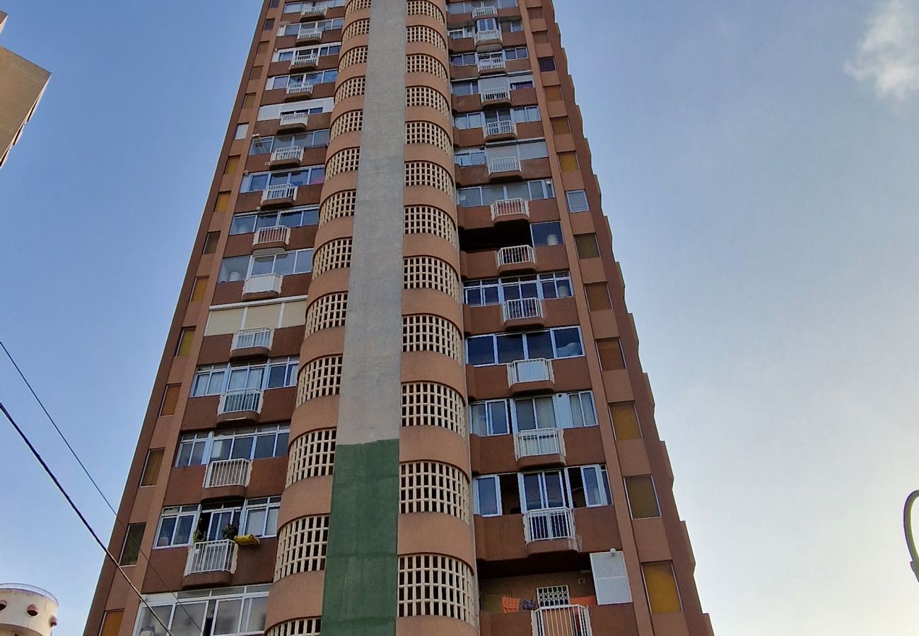 Appartement in Benidorm - DON PACO  (2 SLAAPKAMER)