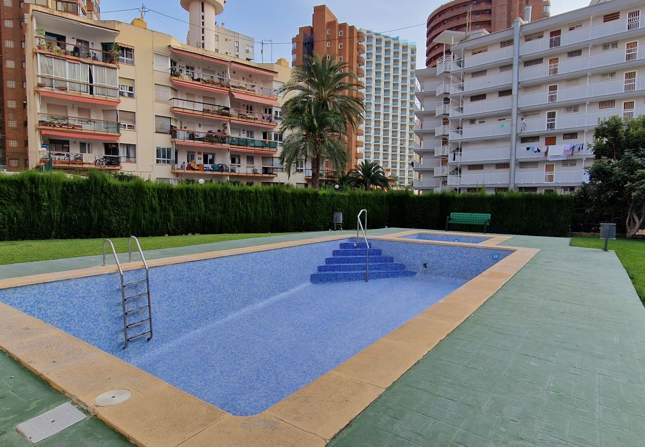 Appartement in Benidorm - DON PACO  (2 SLAAPKAMER)