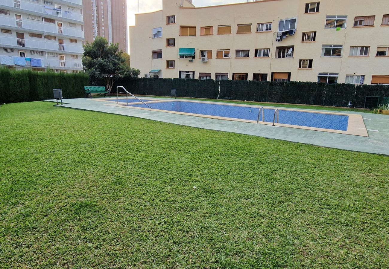 Appartement in Benidorm - DON PACO  (2 SLAAPKAMER)