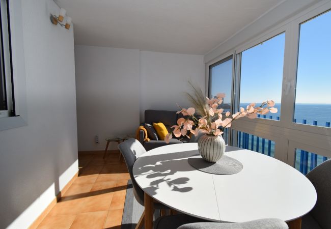 Appartement in Benidorm - PALMERAS (1 SCHLAAPKAMER) ZONDER TERRAS