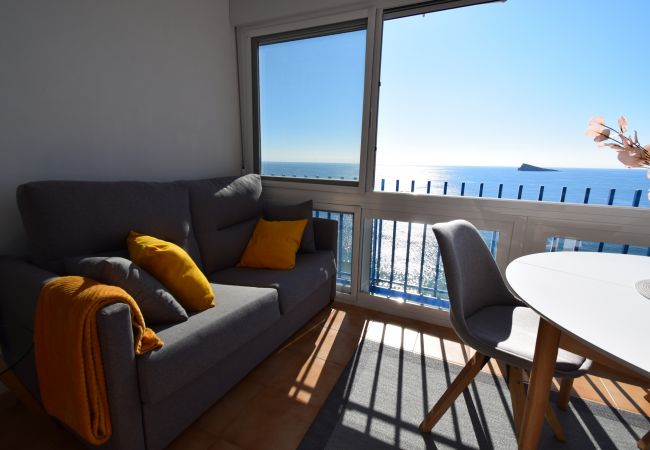 Appartement in Benidorm - PALMERAS (1 SCHLAAPKAMER) ZONDER TERRAS