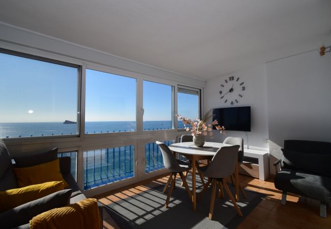 Appartement in Benidorm - PALMERAS (1 SCHLAAPKAMER) ZONDER TERRAS