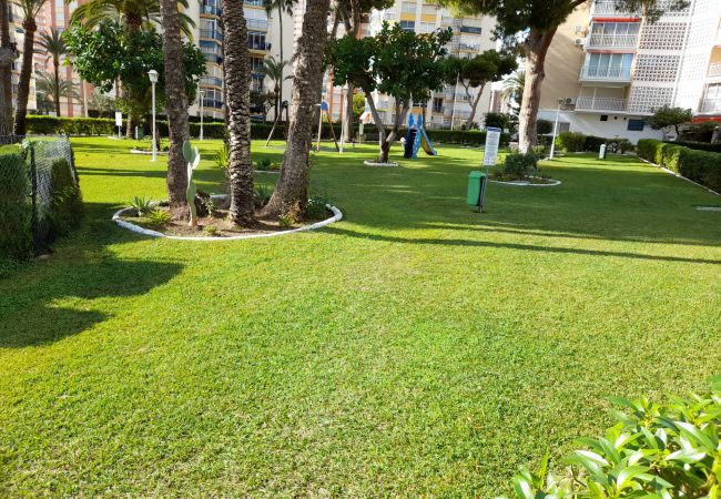 Appartement in Benidorm - URBANIZACION MIRAMAR (1 SLAAPKAMER)