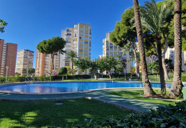 Appartement in Benidorm - URBANIZACION MIRAMAR (1 SLAAPKAMER)