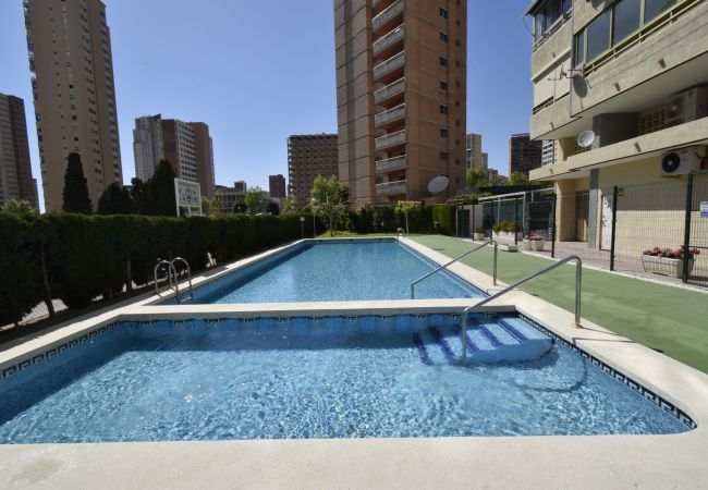 Appartement in Benidorm - MARISCAL 4 (1 SLAAPKAMER) Appartement in Benidorm - MARISCAL 4 (1 SLAAPKAMER)