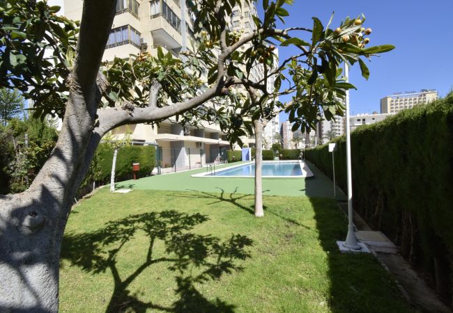 Appartement in Benidorm - MARISCAL 4 (1 SLAAPKAMER)