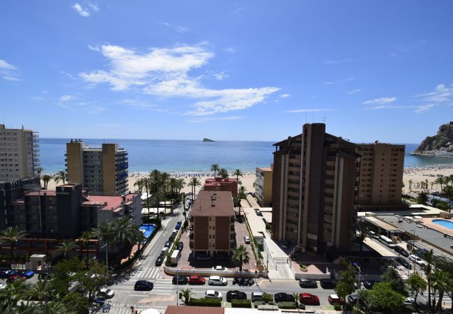 Appartement in Benidorm - CASTELMAR (1 SLAAPKAMER) Appartement in Benidorm - CASTELMAR (1 SLAAPKAMER)