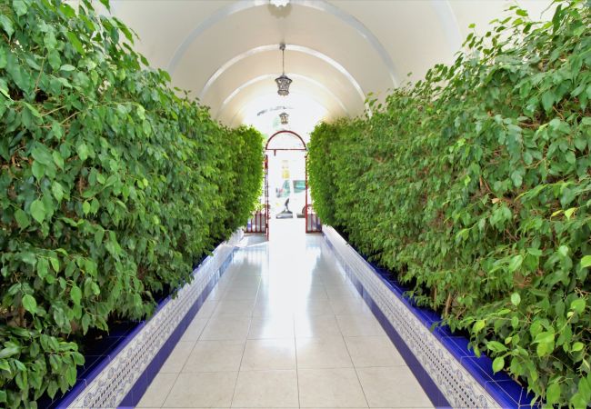 Appartement in Benidorm - CADIZ (1 SLAAPKAMER) Appartement in Benidorm - CADIZ (1 SLAAPKAMER)