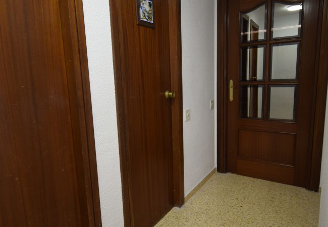 Appartement in Benidorm - GIRASOL (1 SLAAPKAMER) Appartement in Benidorm - GIRASOL (1 SLAAPKAMER)