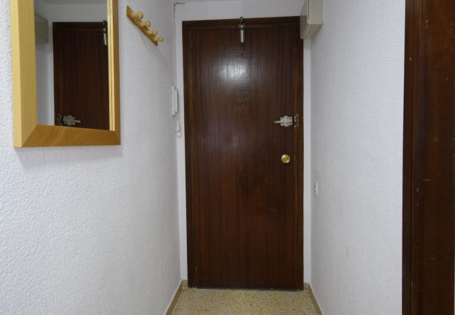 Appartement in Benidorm - GIRASOL (1 SLAAPKAMER) Appartement in Benidorm - GIRASOL (1 SLAAPKAMER)