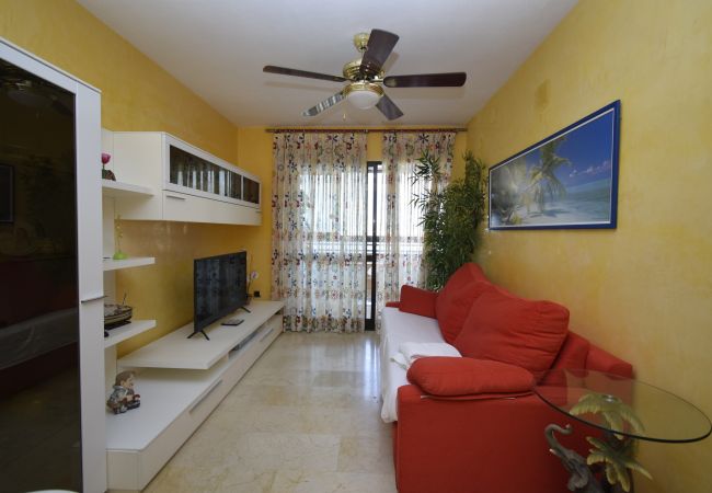 Appartement in Benidorm - TRINISOL 2 (1 SLAAPKAMER) Appartement in Benidorm - TRINISOL 2 (1 SLAAPKAMER)