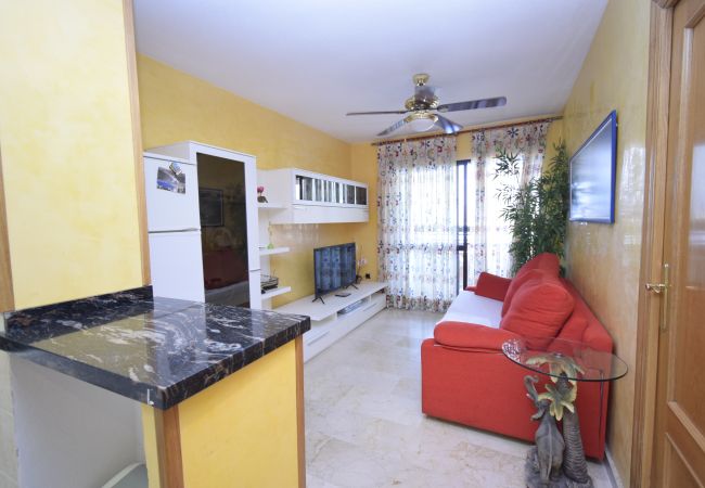 Appartement in Benidorm - TRINISOL 2 (1 SLAAPKAMER) Appartement in Benidorm - TRINISOL 2 (1 SLAAPKAMER)