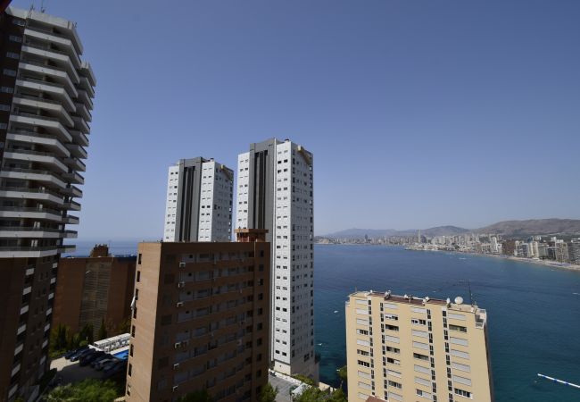 Appartement in Benidorm - TRINISOL 2 (1 SLAAPKAMER) Appartement in Benidorm - TRINISOL 2 (1 SLAAPKAMER)