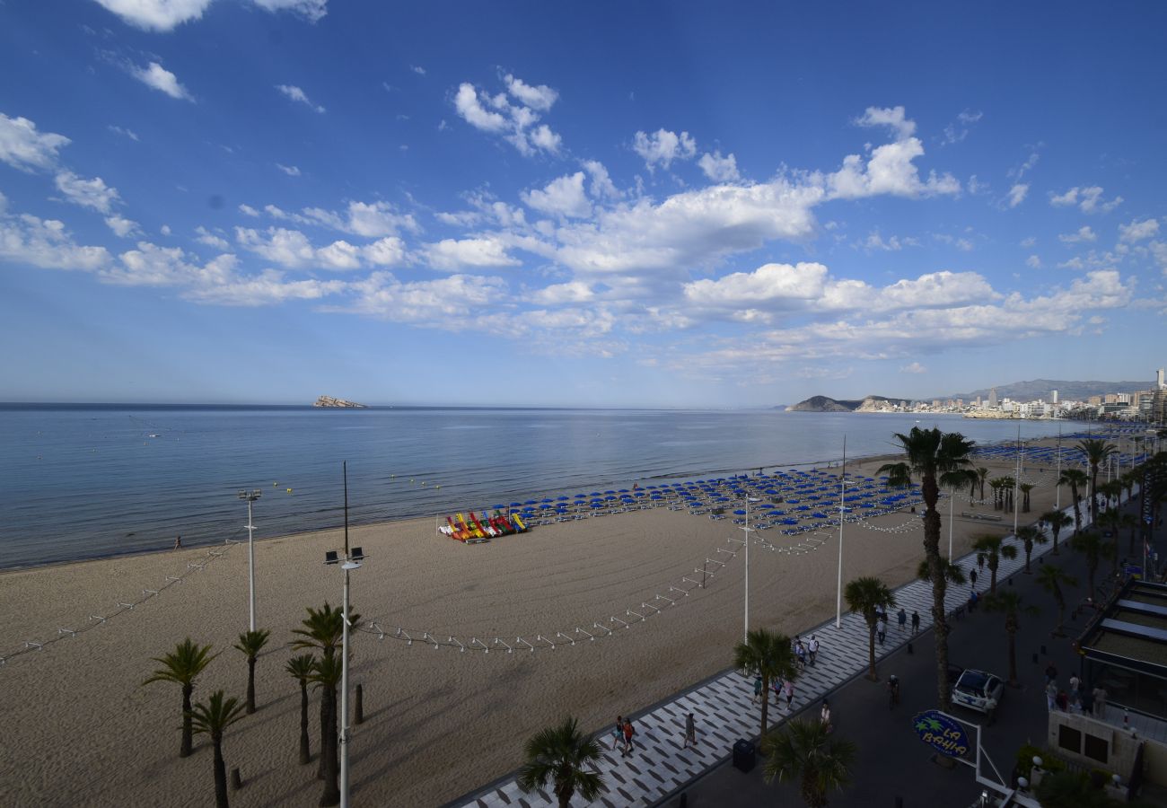 Appartement in Benidorm - CACHIRULO 3A (2 SLAAPKAMER)