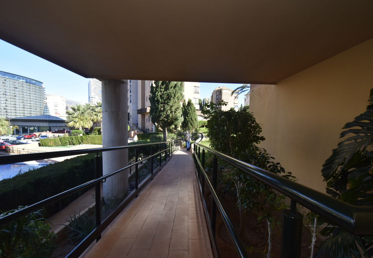 Appartement in Benidorm - COBLANCA 29 16-5