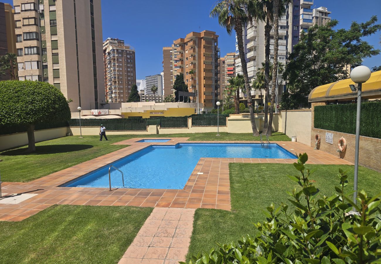 Appartement in Benidorm - TORRE IPANEMA