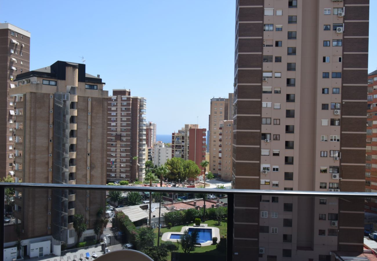 Appartement in Benidorm - TORRE IPANEMA 6A - 1 ROOM