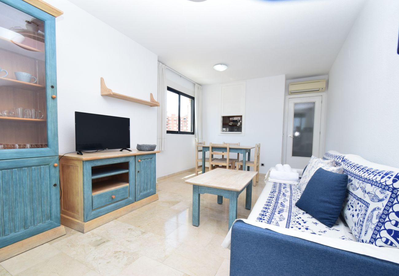 Appartement in Benidorm - TORRE IPANEMA 6A - 1 ROOM