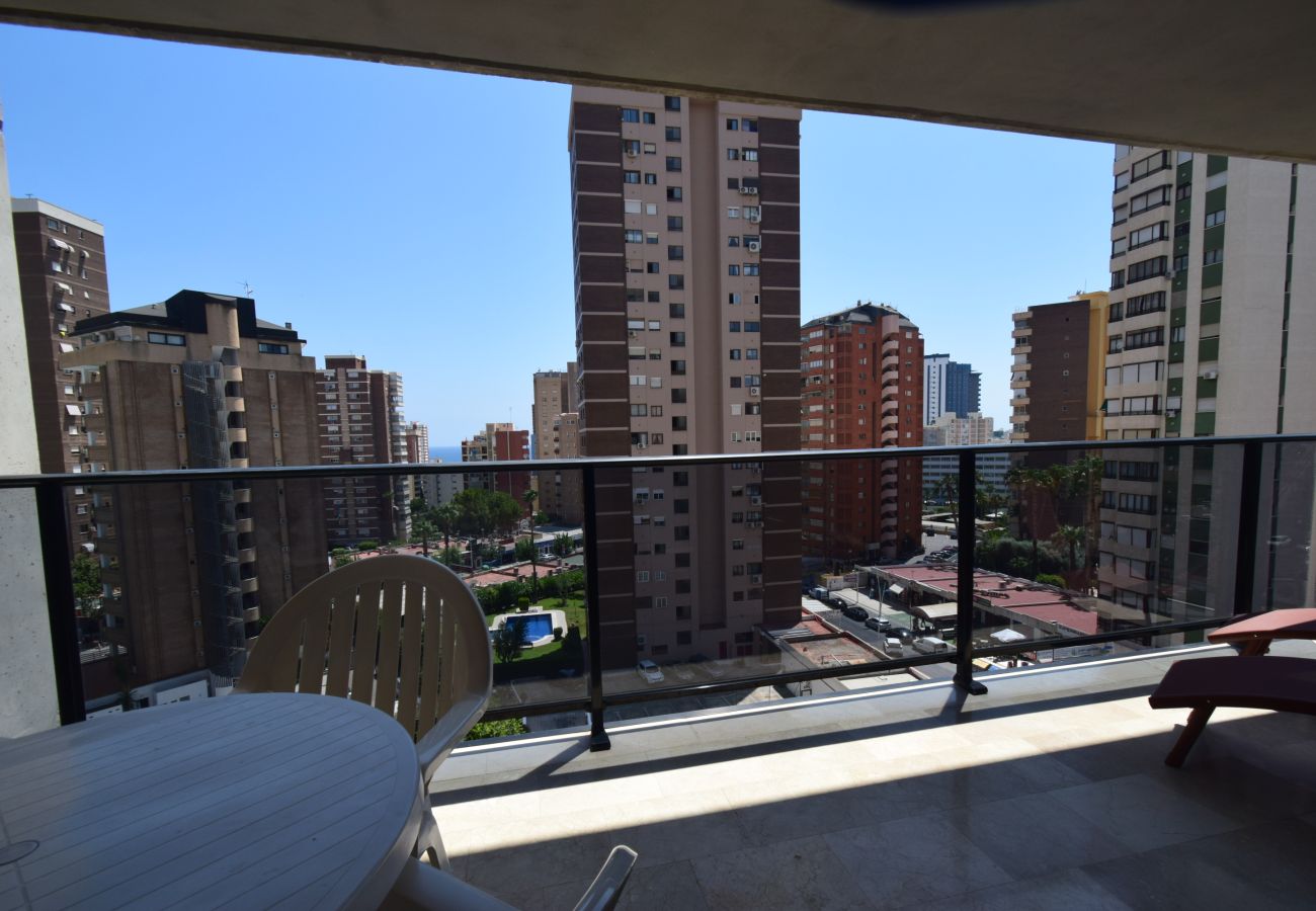 Appartement in Benidorm - TORRE IPANEMA 6A - 1 ROOM