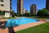 Appartement in Benidorm - TORRE IPANEMA 6A - 1 ROOM
