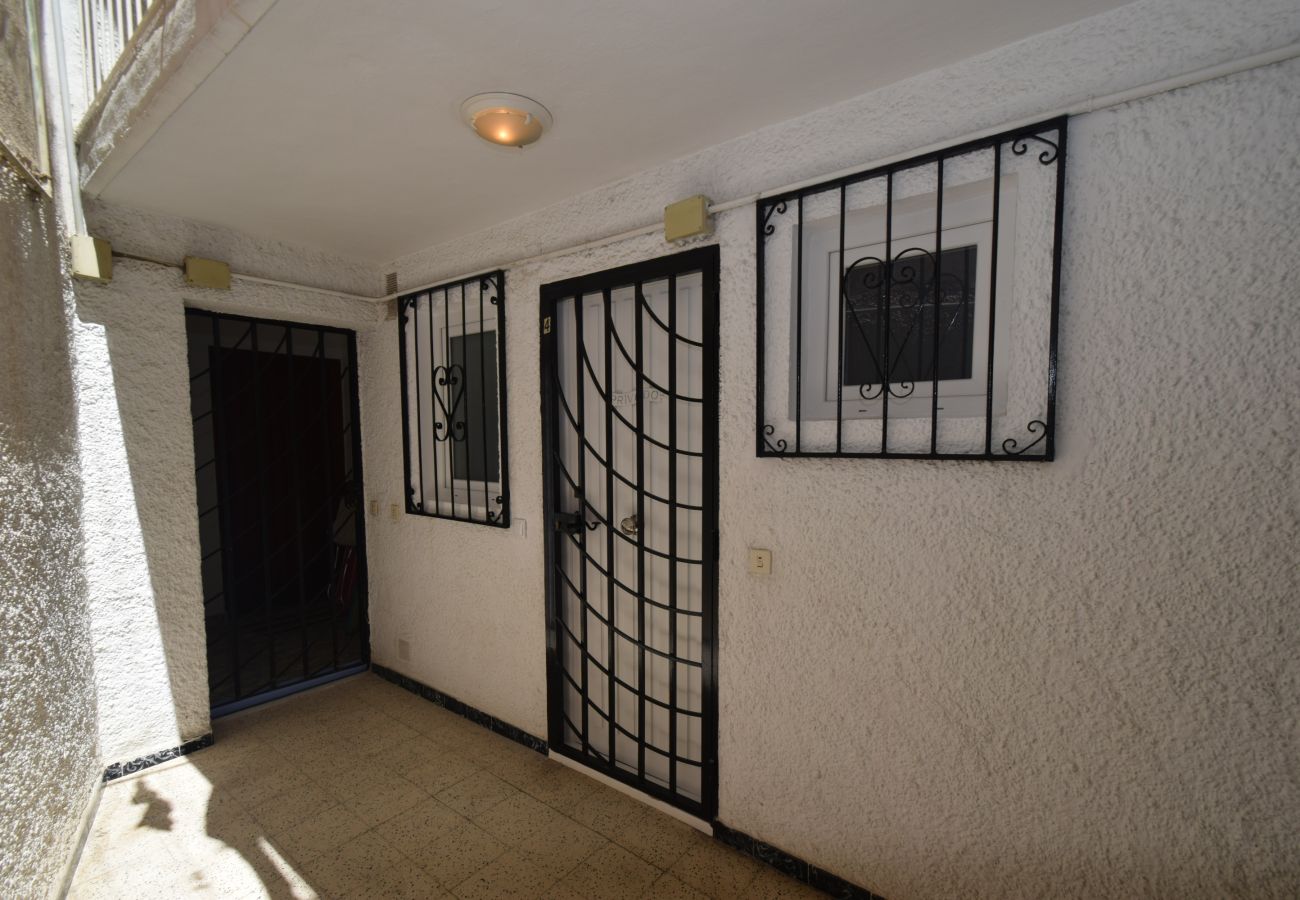 Studio in Benidorm - MARCONI (STUDIO)