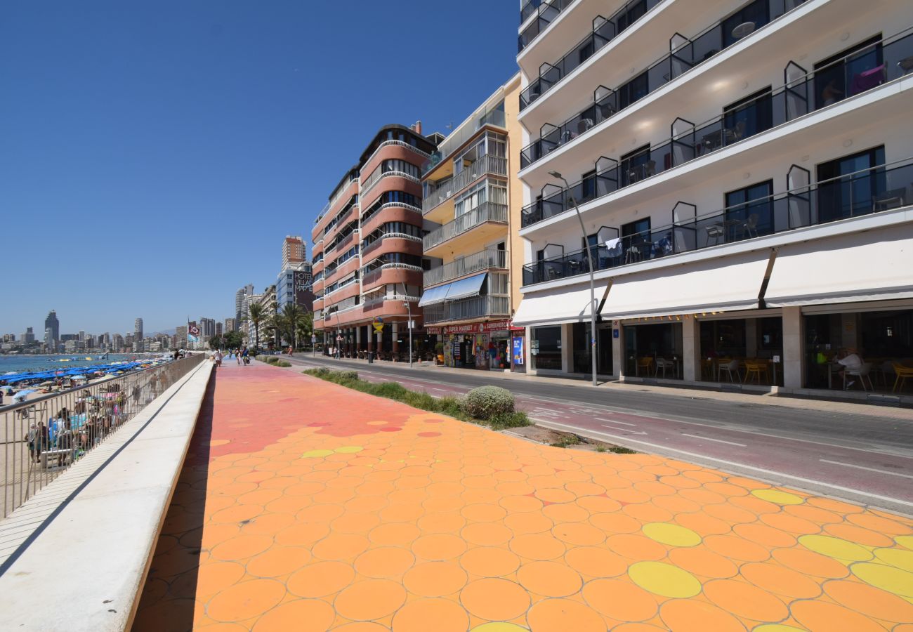 Studio in Benidorm - MARCONI (STUDIO)