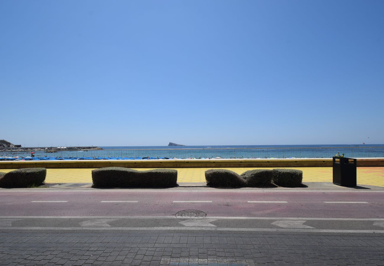 Studio in Benidorm - MARCONI (STUDIO)